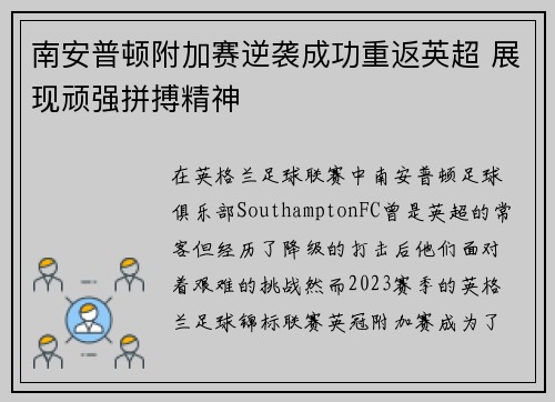 南安普顿附加赛逆袭成功重返英超 展现顽强拼搏精神